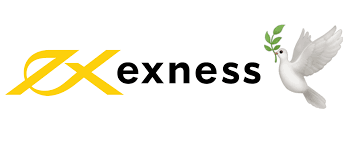Unleashing Potential Exness Social Trading Explained